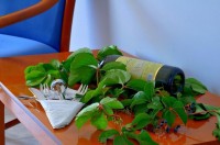 ������� ���� - ����������� �� RCC-TRAVEL.RU