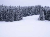 ������� - ����������� �� RCC-TRAVEL.RU
