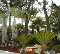 ���������� ����� - ����������� �� RCC-TRAVEL.RU