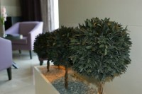 �������� - ����������� �� RCC-TRAVEL.RU