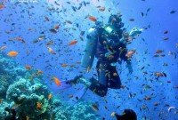 ������� ���� - ����������� �� RCC-TRAVEL.RU