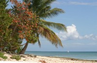 ���� - ����������� �� RCC-TRAVEL.RU