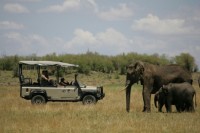 ������������� ��������� - ����������� �� RCC-TRAVEL.RU