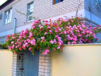 ����� ��� - ����������� �� RCC-TRAVEL.RU