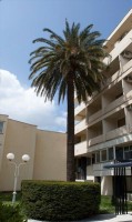 ��� - ����������� �� RCC-TRAVEL.RU