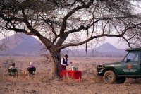 пикник safari - фотогалерея на RCC-TRAVEL.RU пикник safari - фотогалерея на RCC-TRAVEL.RU