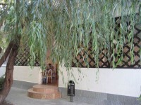 кафе-бар - фотогалерея на RCC-TRAVEL.RU