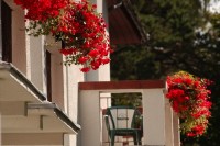 ��� ����� - ����������� �� RCC-TRAVEL.RU
