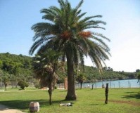 ���������� ����� - ����������� �� RCC-TRAVEL.RU