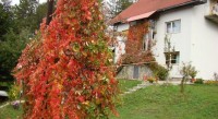 ��� - ����������� �� RCC-TRAVEL.RU