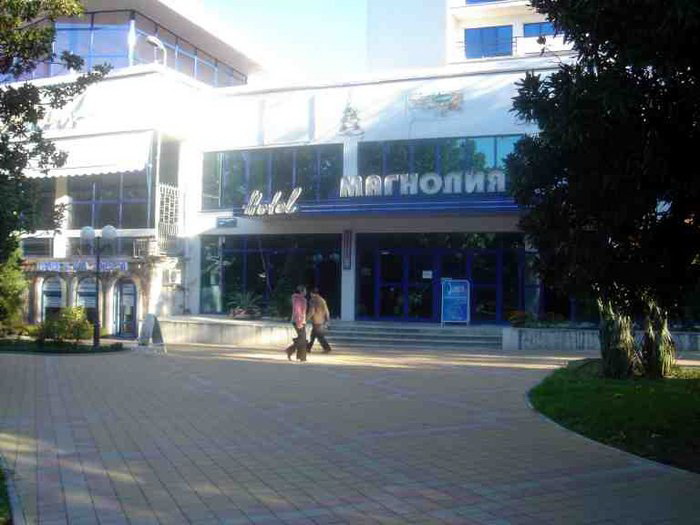 Магнолия Сочи Магазин Официальный Сайт Цены