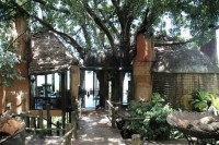 ����� ��� - ����������� �� RCC-TRAVEL.RU