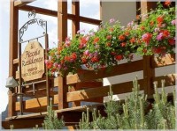 ����� ��� - ����������� �� RCC-TRAVEL.RU