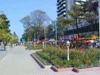 ���� - ����������� �� RCC-TRAVEL.RU