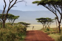 ����� ��� - ����������� �� RCC-TRAVEL.RU