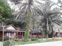 ������� - ����������� �� RCC-TRAVEL.RU