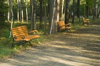 ���������� ����� - ����������� �� RCC-TRAVEL.RU
