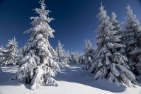 ������� - ����������� �� RCC-TRAVEL.RU