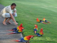 ������� ����� - ����������� �� RCC-TRAVEL.RU