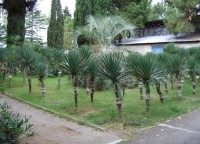 территория - фотогалерея на RCC-TRAVEL.RU территория - фотогалерея на RCC-TRAVEL.RU