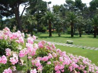 ���������� ����� - ����������� �� RCC-TRAVEL.RU
