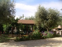 ���������� ����� - ����������� �� RCC-TRAVEL.RU