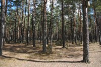 ���������� ����� - ����������� �� RCC-TRAVEL.RU