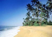 ���� - ����������� �� RCC-TRAVEL.RU