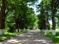 ���������� ����� - ����������� �� RCC-TRAVEL.RU