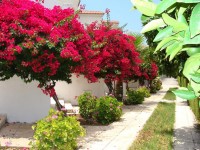 ���������� ����� - ����������� �� RCC-TRAVEL.RU