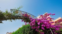 вид - фотогалерея на RCC-TRAVEL.RU вид - фотогалерея на RCC-TRAVEL.RU