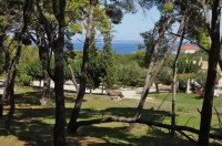 ���� - ����������� �� RCC-TRAVEL.RU