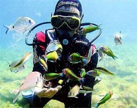 ������� - ����������� �� RCC-TRAVEL.RU