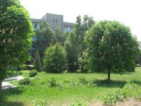 территория отеля - фотогалерея на RCC-TRAVEL.RU территория отеля - фотогалерея на RCC-TRAVEL.RU