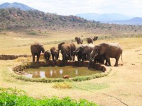 ������� ����� - ����������� �� RCC-TRAVEL.RU