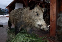 вид - фотогалерея на RCC-TRAVEL.RU вид - фотогалерея на RCC-TRAVEL.RU