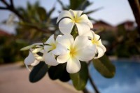 ��� - ����������� �� RCC-TRAVEL.RU