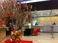 reception - ����������� �� RCC-TRAVEL.RU