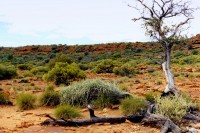 ������� - ����������� �� RCC-TRAVEL.RU