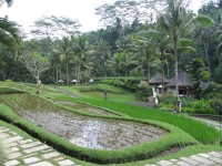 ���������� ����� - ����������� �� RCC-TRAVEL.RU