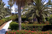 сад - фотогалерея на RCC-TRAVEL.RU сад - фотогалерея на RCC-TRAVEL.RU