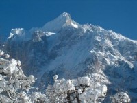  -   RCC-TRAVEL.RU