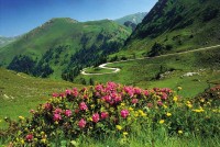 ��� - ����������� �� RCC-TRAVEL.RU