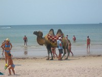 ���� - ����������� �� RCC-TRAVEL.RU