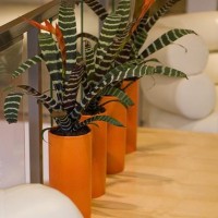 интерьер - фотогалерея на RCC-TRAVEL.RU интерьер - фотогалерея на RCC-TRAVEL.RU