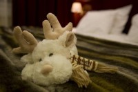 ��� - ����������� �� RCC-TRAVEL.RU