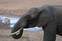 ������� ����� - ����������� �� RCC-TRAVEL.RU