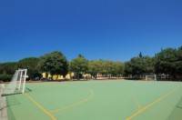 футбольное поле - фотогалерея на RCC-TRAVEL.RU футбольное поле - фотогалерея на RCC-TRAVEL.RU