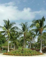 ���������� - ����������� �� RCC-TRAVEL.RU