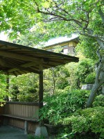 территория - фотогалерея на RCC-TRAVEL.RU территория - фотогалерея на RCC-TRAVEL.RU